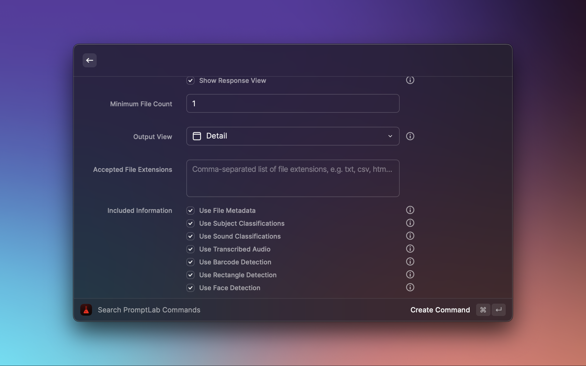 Customization options for commands